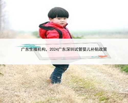 广东生殖机构，2024广东深圳试管婴儿补贴政策