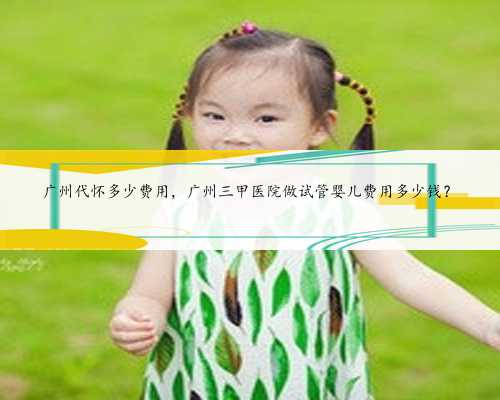 广州代怀多少费用，广州三甲医院做试管婴儿费用多少钱？
