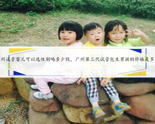 广州试管婴儿可以选性别吗多少钱，广州第三代试管包生男孩的价格是多少